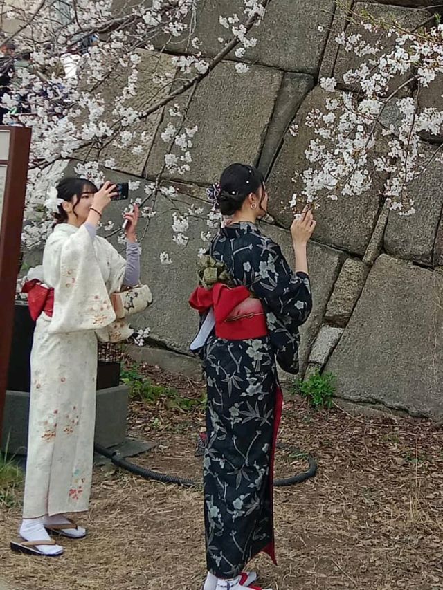 大阪城公園历史與自然的完美融合