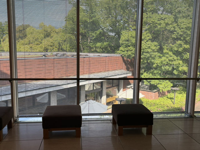 山梨県立美術館　山梨県で芸術と自然を楽しむ