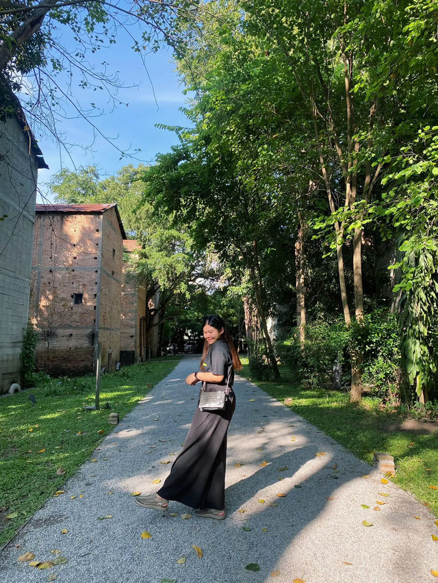 🌳 คาเฟ่โรงบ่ม-เก๊าไม้ ล้านนา เชียงใหม่วิวสวย✨☕️