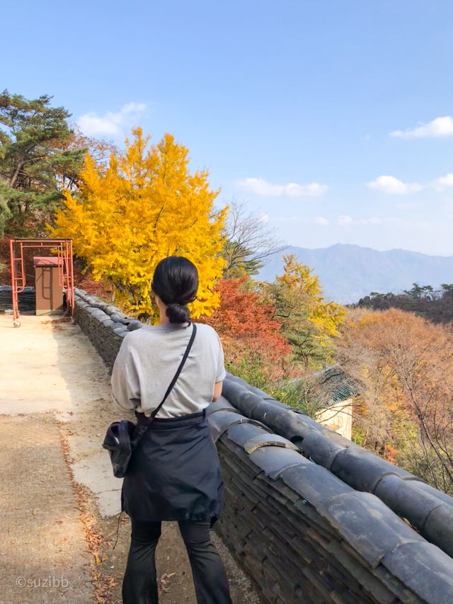 날씨가 좋을땐 뭐다~? 등산이다! 산의 매력을 느끼고 싶다면 이곳으로!