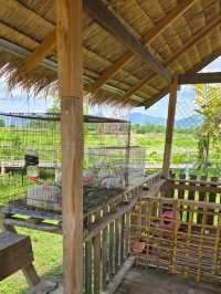 ล้านวิว บ้านฟาร์มคาเฟ่ ครอบครัว