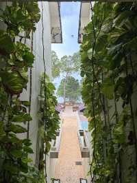 Best nature view hotel ! 