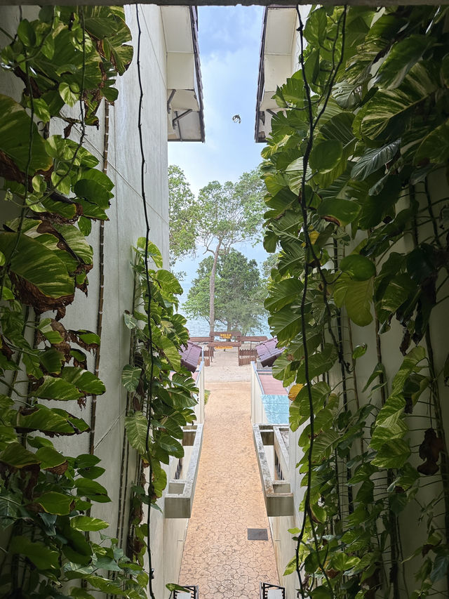 Best nature view hotel ! 