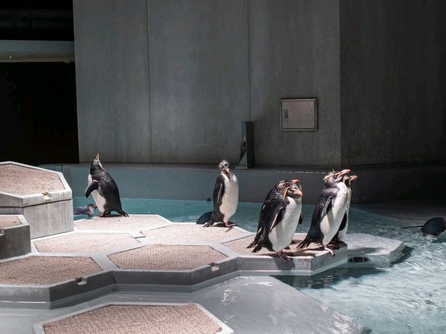 ยก Aquarium มาไว้บนตึกบนใจกลางเมือง Sapporo 
