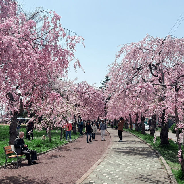 A Dreamy Stroll Through Nicchusen