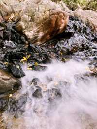 THE HIDDEN FALLS บางพระ ชลบุรี
