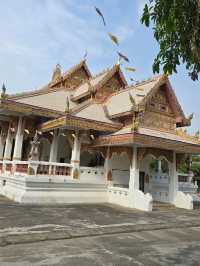 วัดป่าพุทธคยา Watpa India 
