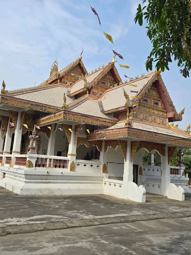 วัดป่าพุทธคยา Watpa India 