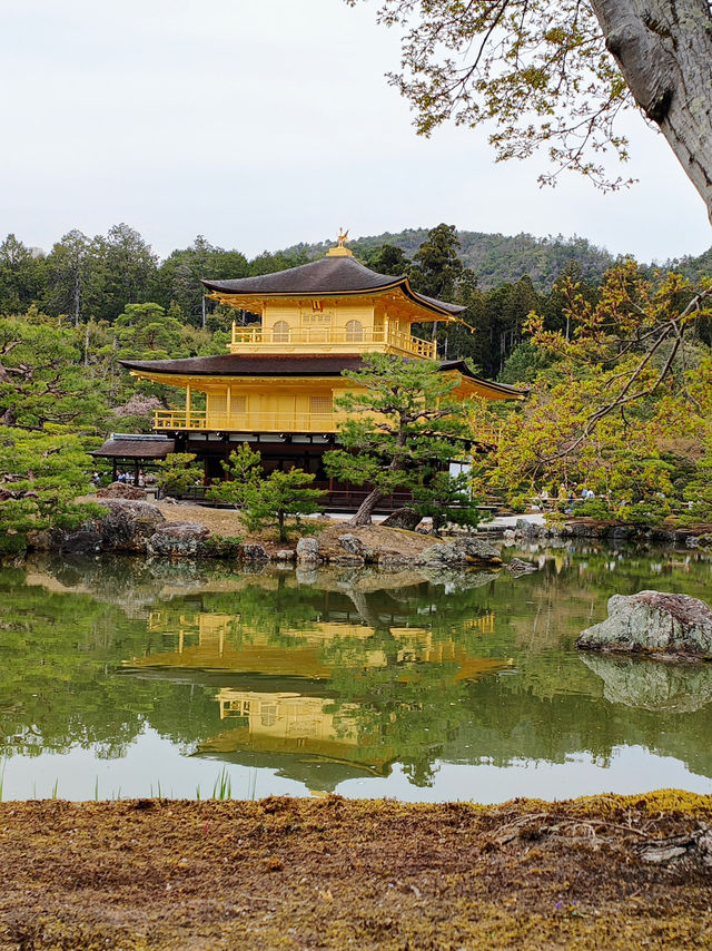 Golden reflections 
