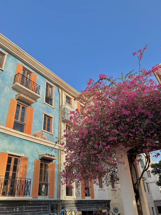Wandering in the city of sunset 
