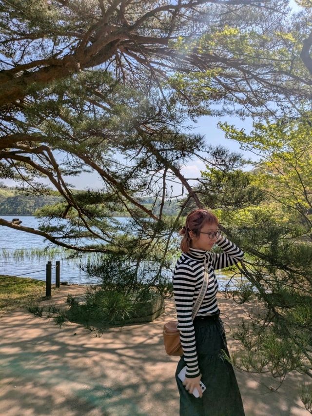 晴れた日はここで決まり！南湖公園さんぽ日和