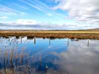 a peaceful place for walking, birdwatching, or a picnic