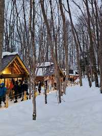 Frozen Beauty & Fairy Lights: Winter Road Trip from Asahikawa to Biei & Furano