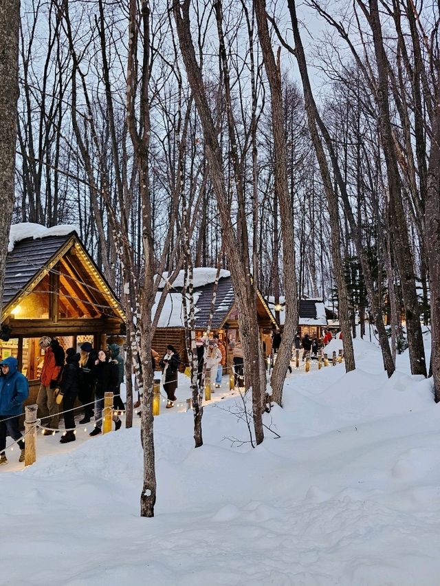 Frozen Beauty & Fairy Lights: Winter Road Trip from Asahikawa to Biei & Furano
