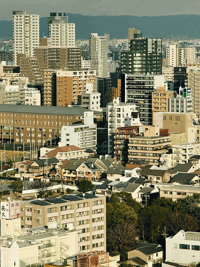 大阪 南海機場線｜大阪與世界的紫色快速連繫