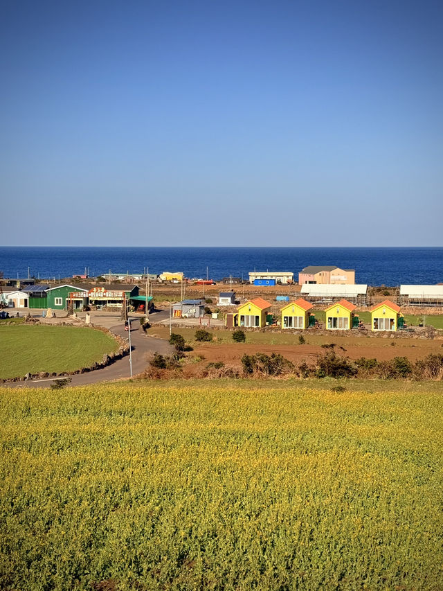 韓國濟州🍊｜在「牛島」體驗濟州寧靜小島的浪漫氛圍💕
