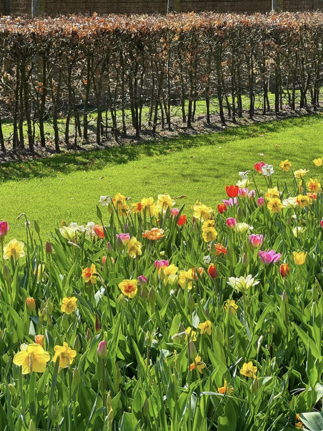 🌷Springtime in Amsterdam — An Unexpected Crush!☀️🚲