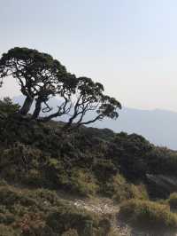 合歡山北峰｜新手百岳的絕佳起點，雲海與花海交織的高山饗宴