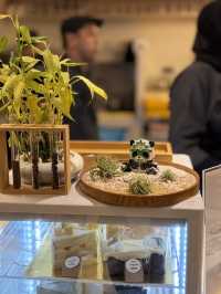 " From Japan to Ipoh : The Art of Matcha & Green Tea"✨🍃