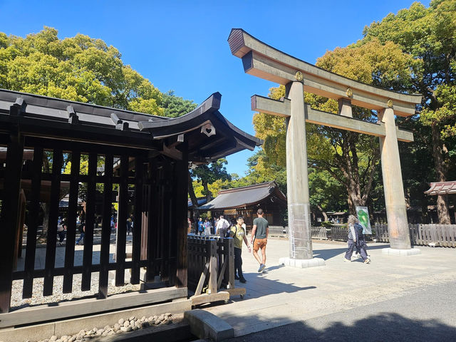 “Whispers of the Forest: Sakura Spirits of Meiji”