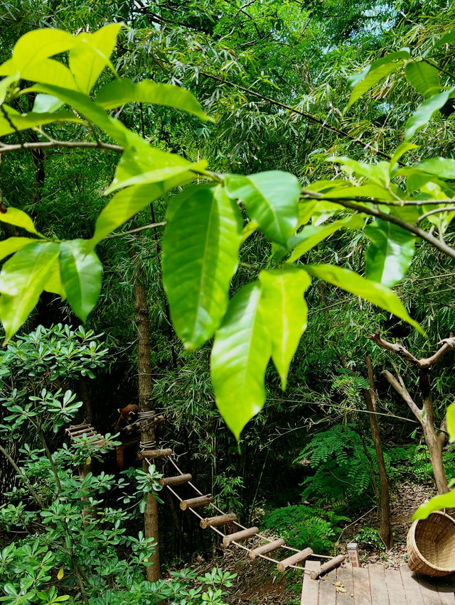 The Chengdu Research Base of Giant Panda Breeding