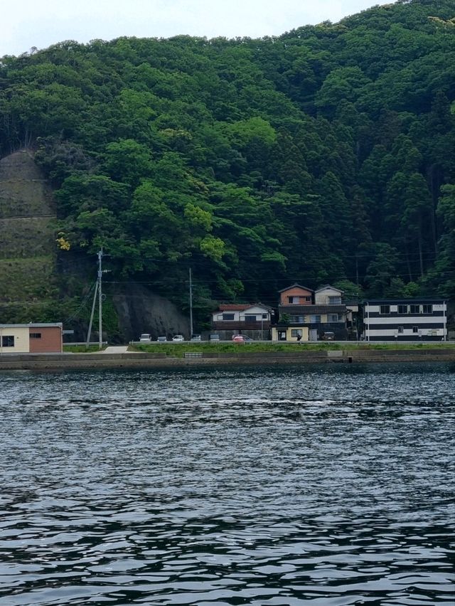 🏝🍛🏮히타카츠 1일 여행 추천 -가장 가까운 일본, 히타카츠에서 마주한 낯선 일상