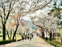 Title: Children’s Grand Park: Seoul’s Family-Friendly Nature & Culture Haven