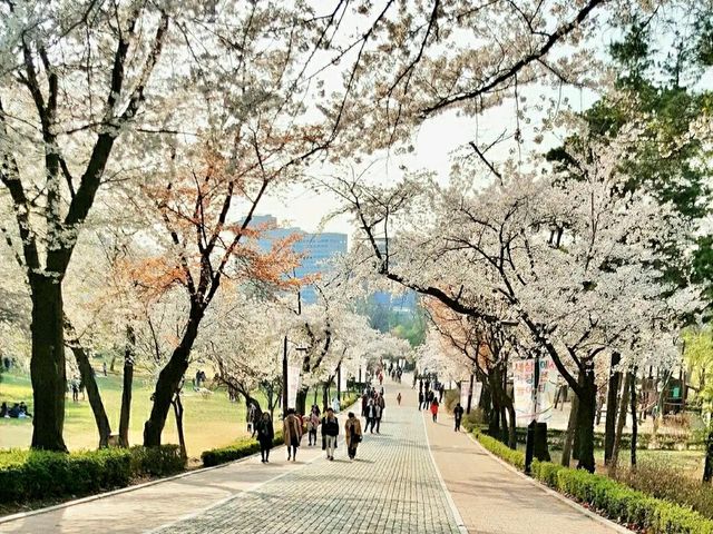 Title: Children’s Grand Park: Seoul’s Family-Friendly Nature & Culture Haven
