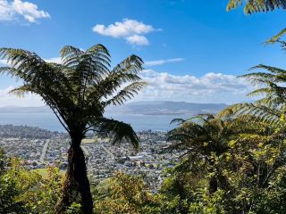 Rotorua Skyline กระเช้าลอยฟ้า｜นั่งกระเช้าสู่ท้องฟ้า ชมวิวทะเลสาบภูเขาไฟและเมืองแห่งพลังงานความร้อนใต้พิภพที่งดงาม