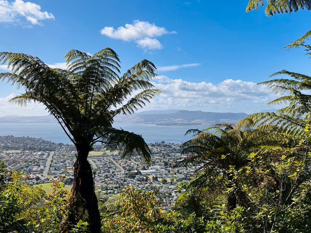 Rotorua Skyline 纜車｜搭上天空電車，俯瞰火山湖與地熱之城的絕美風景