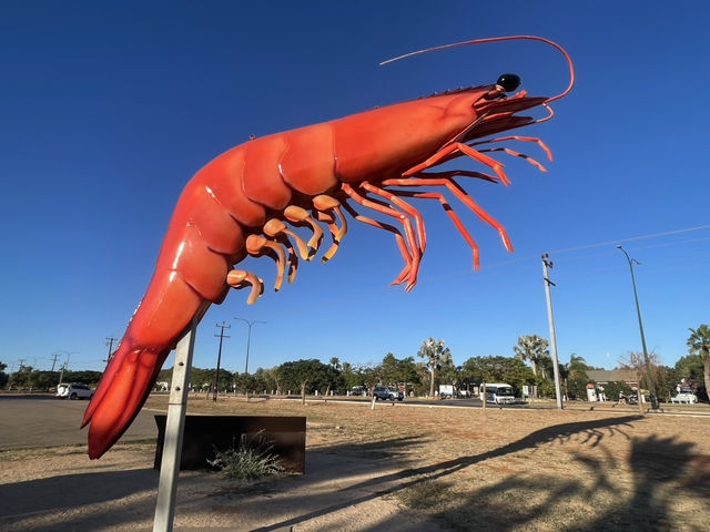 Giant Prawn of Exmouth! 