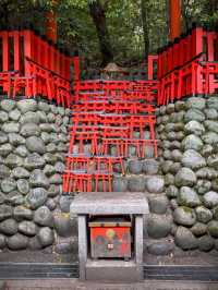 Walk the Path of a Thousand Torii at Fushimi Inari Taisha