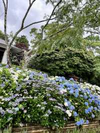 A Peaceful Day in Uwajima – Castles, Gardens & Hilltop Views