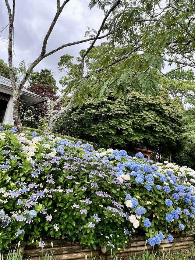A Peaceful Day in Uwajima – Castles, Gardens & Hilltop Views