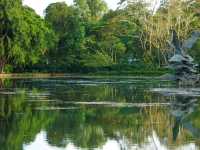 The Rainforest at Singapore Botanic Gardens – A Walk Through Ancient Nature