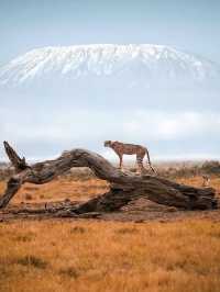 Mount Kilimanjaro – Tanzania