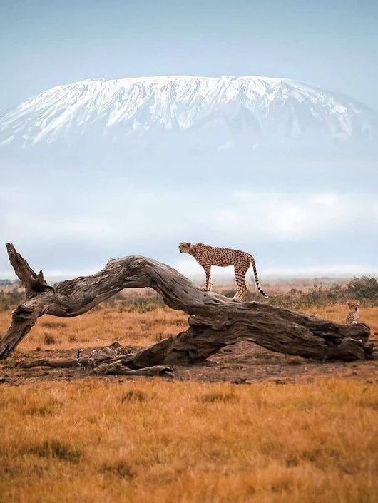 Mount Kilimanjaro – Tanzania