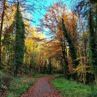 Slieve Bloom Mountains – Ireland’s Hidden Highlands