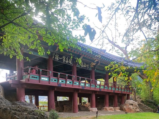 삼척가을의빛이 가득한💛 [국보 죽서루]