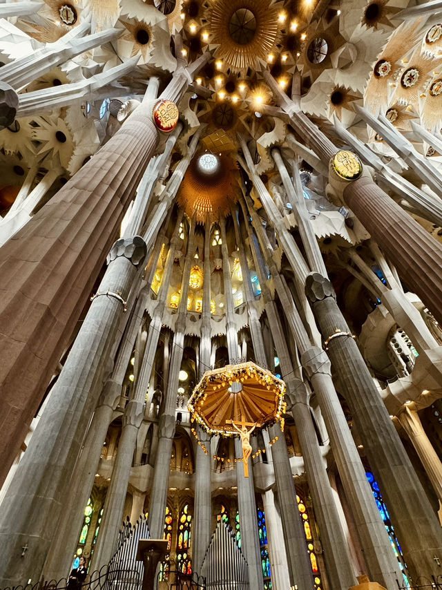 Awestruck by the Majesty of Sagrada Família ⛪️✨
