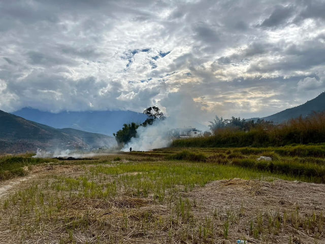 Punakha’s Fertility Temple – Where Culture Meets the Countryside