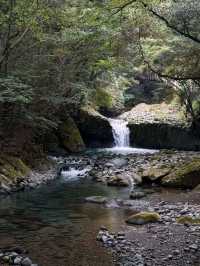 Spring’s Waterfall Wonderland