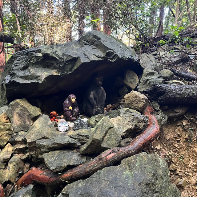 【朝熊山⛰️から宇治岳道】　三重