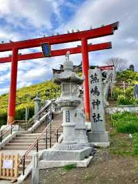 An Active Day Out in Hachinohe – Nature, Trails & Local Flavors