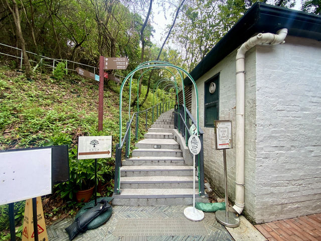 端午節好去處⏳Timeless Cafe 🌟☕️ 香港優質Cafe 分享