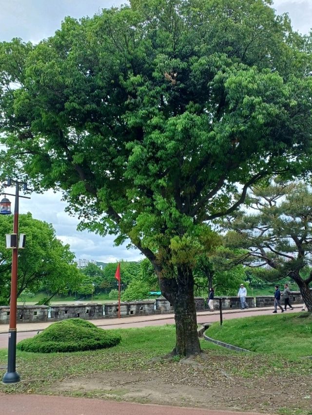 아이들과 뛰놀기 좋은 넓은 잔디광장