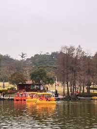 周末親子遊樂好去處——珠海海濱公園