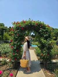 장미폭포를 만날수 있는 로맨틱 로즈가든 파티🌹
