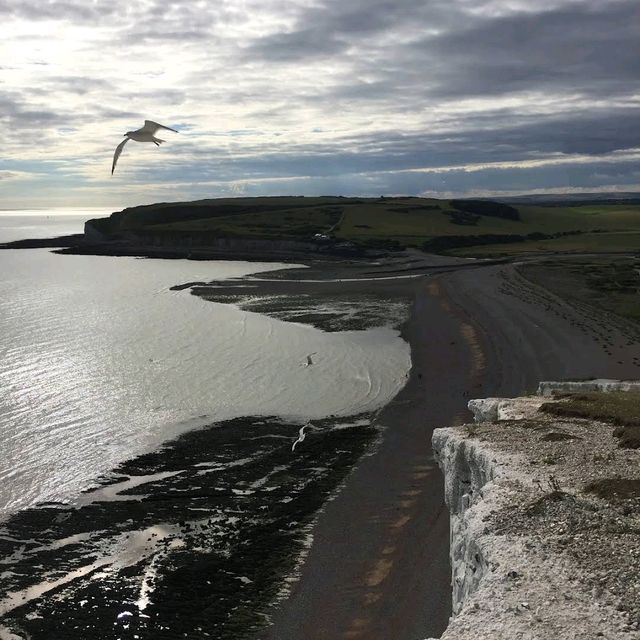 Seven Sisters Cliffs, East Sussex