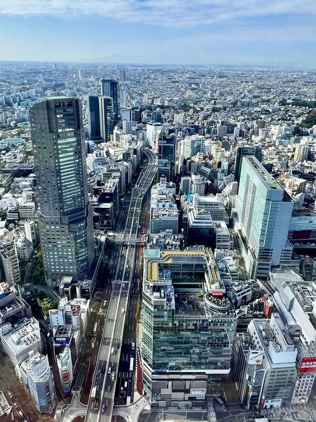 A Relaxed Day Around Shibuya 🏙️🥖